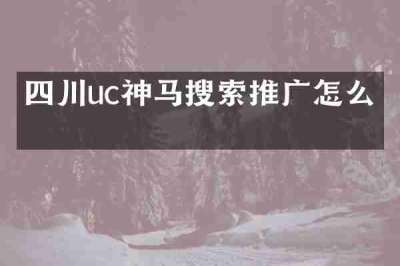 四川uc神马搜索推广怎么做