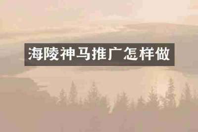 海陵神马推广怎样做