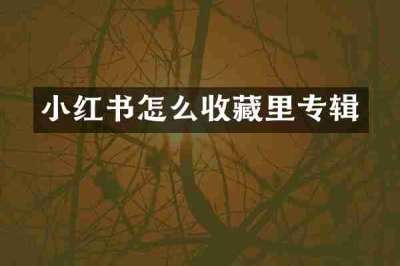 小红书怎么收藏里专辑