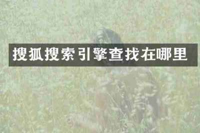 搜狐搜索引擎查找在哪里
