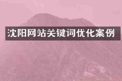 沈阳网站关键词优化案例