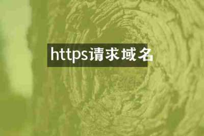 https请求域名