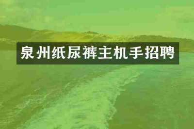 泉州纸尿裤主机手招聘