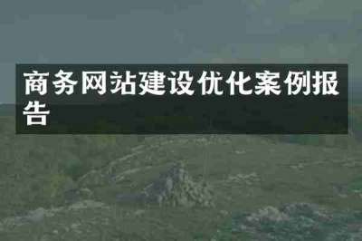 商务网站建设优化案例报告