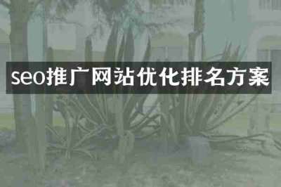 seo推广网站优化排名方案