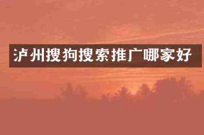泸州搜狗搜索推广哪家好