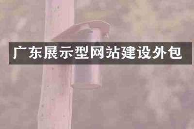 广东展示型网站建设外包