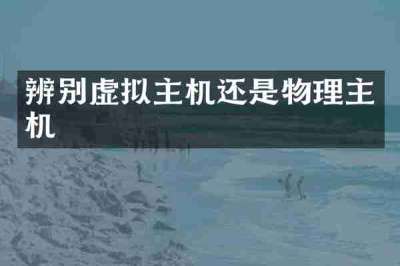 辨别虚拟主机还是物理主机