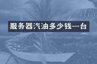 服务器汽油多少钱一台