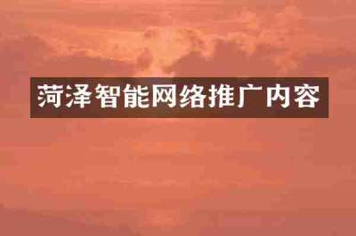 菏泽智能网络推广内容