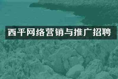 西平网络营销与推广招聘