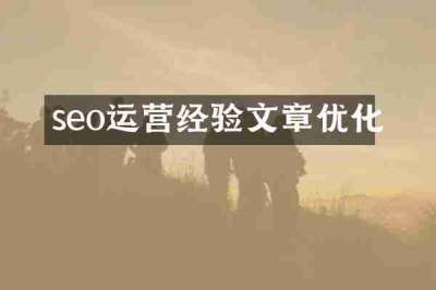 seo运营经验文章优化