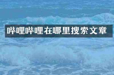 哔哩哔哩在哪里搜索文章