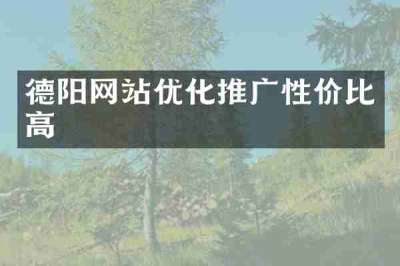 德阳网站优化推广性价比高