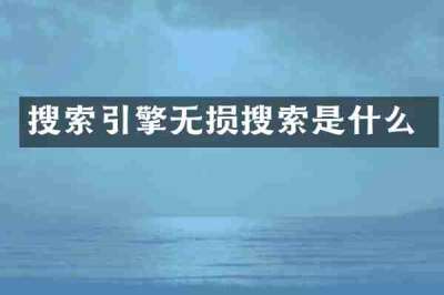 搜索引擎无损搜索是什么