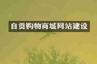 自贡购物商城网站建设