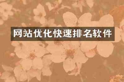 网站优化快速排名软件