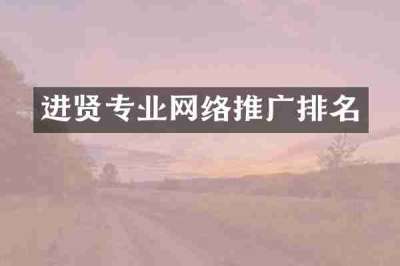 进贤专业网络推广排名