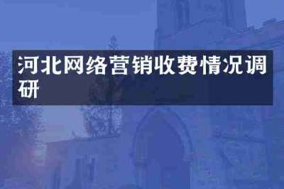 河北网络营销收费情况调研