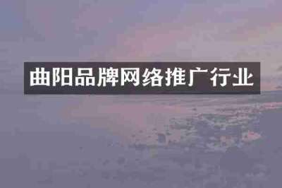 曲阳品牌网络推广行业