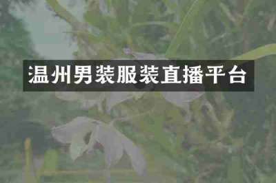 温州男装服装直播平台
