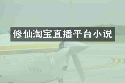 修仙淘宝直播平台小说