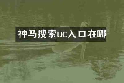 神马搜索uc入口在哪