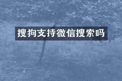 搜狗支持微信搜索吗