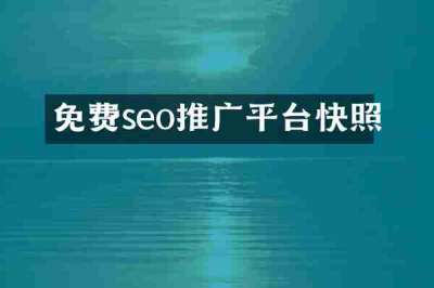 免费seo推广平台快照