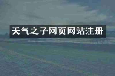 天气之子网页网站注册
