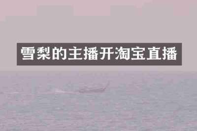 雪梨的主播开淘宝直播