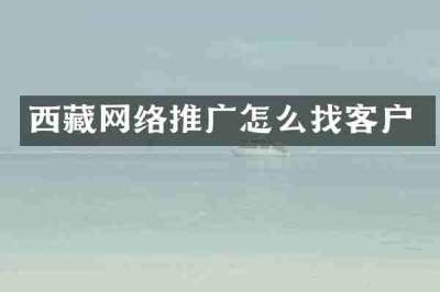 西藏网络推广怎么找客户
