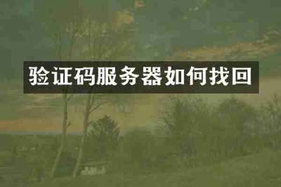 验证码服务器如何找回