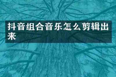 抖音组合音乐怎么剪辑出来