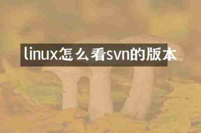 linux怎么看svn的版本