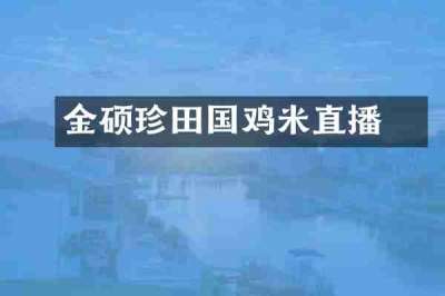 金硕珍田柾国鸡米直播