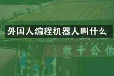 外国人编程机器人叫什么