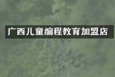 广西儿童编程教育加盟店