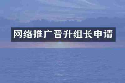 网络推广晋升组长申请