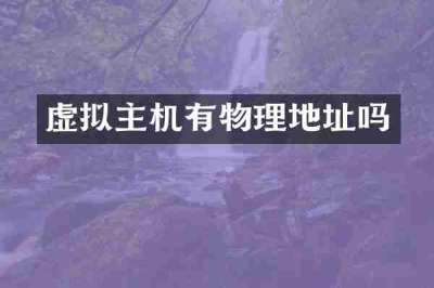 虚拟主机有物理地址吗