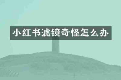 小红书滤镜奇怪怎么办