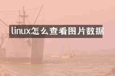 linux怎么查看图片数据