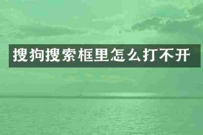 搜狗搜索框里怎么打不开