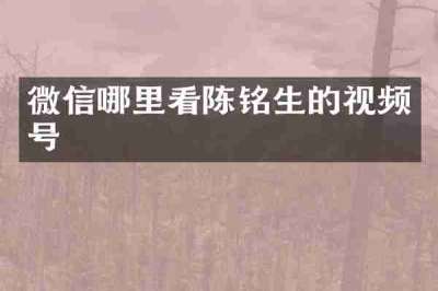 微信哪里看陈铭生的视频号