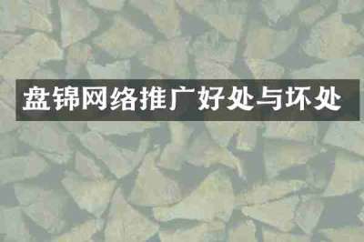 盘锦网络推广好处与坏处