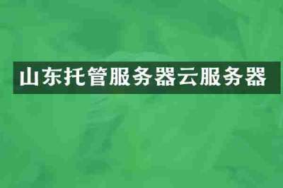 山东托管服务器云服务器