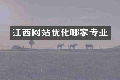 江西网站优化哪家专业