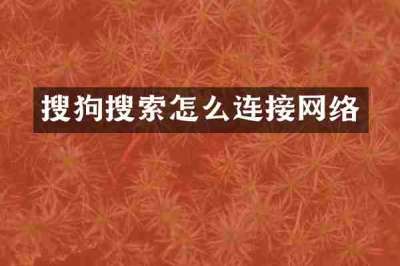 搜狗搜索怎么连接网络