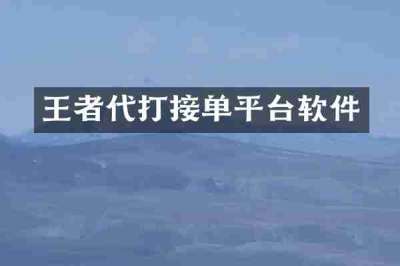 王者代打接单平台软件
