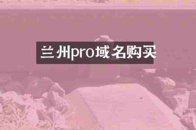 兰州pro域名购买